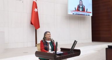TBMM Kürsüsüne yöresel kıyafet ve sepeti ile çıktı.