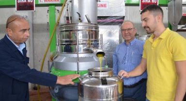 Yavuzhan Zeytinyağı Fabrikası’nda Zeytin Sıkımlarına Başlandı