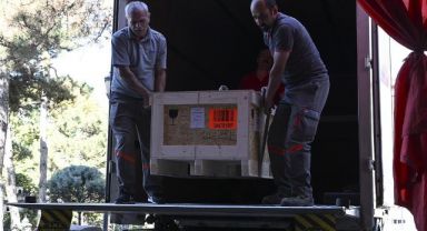 2021'de 3059 Eser Türkiye'ye Getirildi