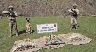 Bozdoğan-28 Operasyonu