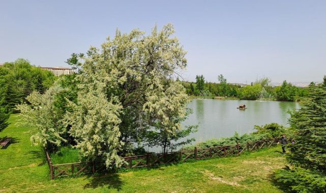 Türkiye’nin Milli Botanik Bahçesi