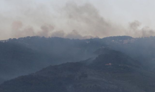 3 İlde Orman Yangını