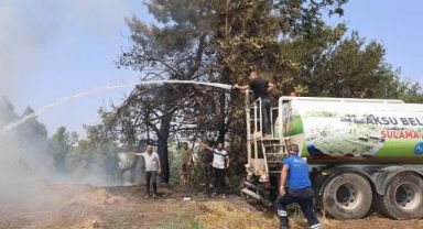 Antalya'da Orman Yangını
