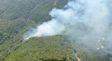 Antalya'da Üç Noktada Orman Yangını