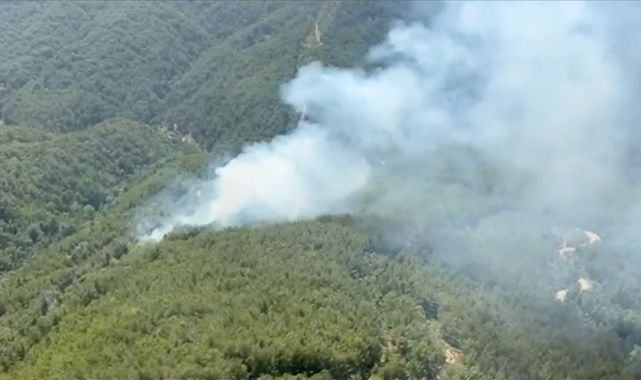 Antalya'da Üç Noktada Orman Yangını