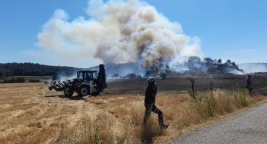 Çanakkale'de Orman Yangını