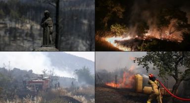 Dünya Genelinde Orman Yangınları Etkili Oluyor