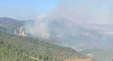 Bergama'da Orman Yangınında İkinci Gün