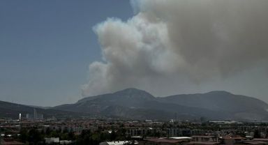 İzmir'de Orman Yangını