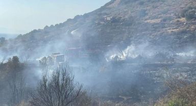 İzmir Foça'daki Yangın Kontrol Altında