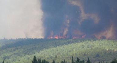 İzmir Gaziemir'de Korkutan Yangın