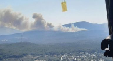 İzmir Urla'da Orman Yangını