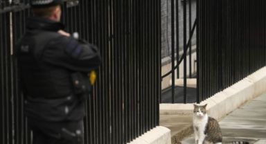Londra'nın Beş Başbakan Eskiten Kedisi