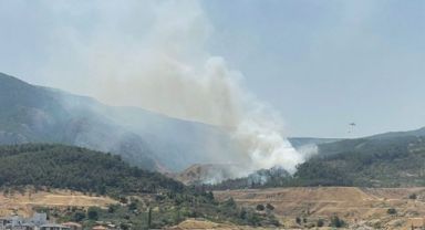 Manisa Soma'da Çıkan Orman Yangını Kontrol Altında