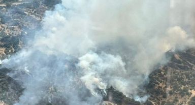 Manisa Turgutlu'da Orman Yangını