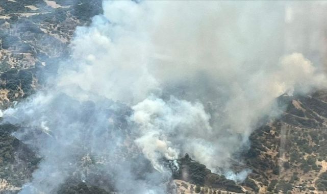 Manisa Turgutlu'da Orman Yangını