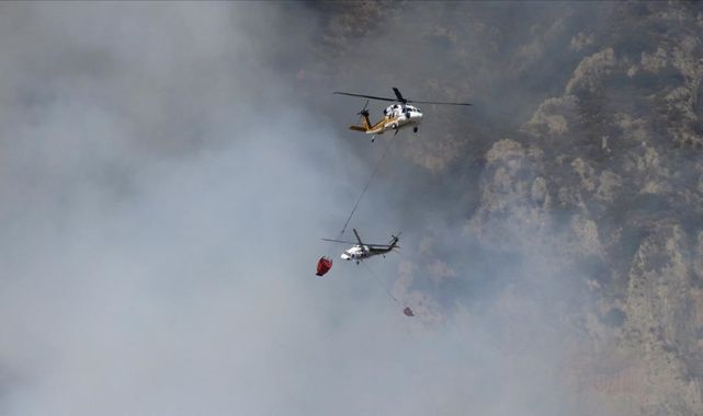 Muğla'nın Milas İlçesi'nde Orman Yangını