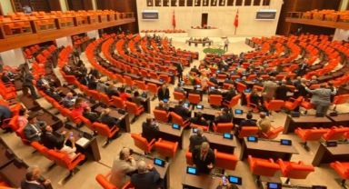 Sahipsiz Hayvanlar Düzenlemesi Meclisten Geçti
