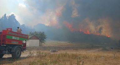Ankara'da Başlayan Yangın Bolu'ya Sıçradı