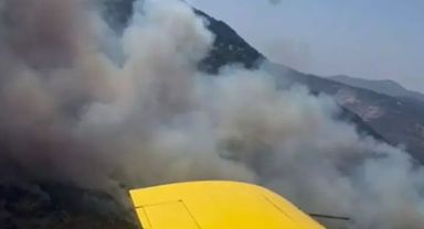 Aydın'ın Germencik İlçesi'nde Orman Yangını