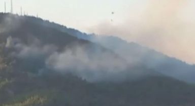 İzmir'de Orman Yangını
