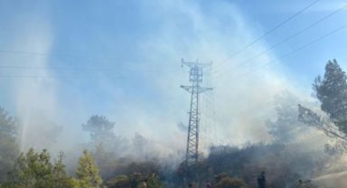 Muğla'da Orman Yangını