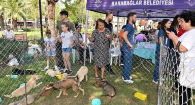 Karabağlar Belediyesi can dostları sahiplendirdi. Can dostlarına yoldaş oldular