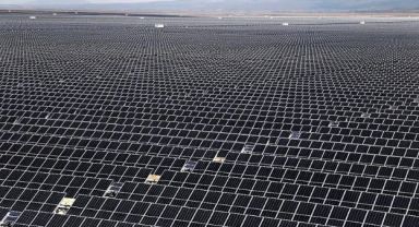 'Enerji tarlası' vaadiyle dolandırıcılık!
