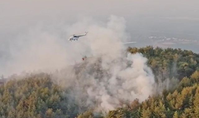 İzmir'de Orman Yangını