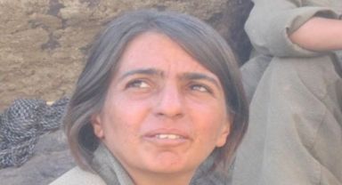 MİT'ten Suriye Kamışlı'da Nokta Operasyonu