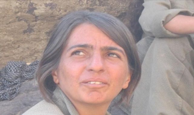MİT'ten Suriye Kamışlı'da Nokta Operasyonu