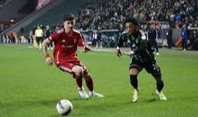 Kocaelispor Coştu