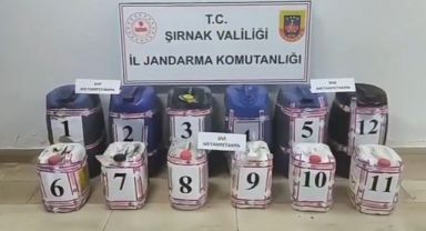 Narkokapan-11 Operasyonu