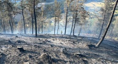 Balıkesir'de Çıkan Urman Yangınına Müdahale Ediliyor