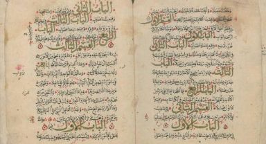 Saklı Bahçenin Gizli Hazinesi Erişime Açıldı