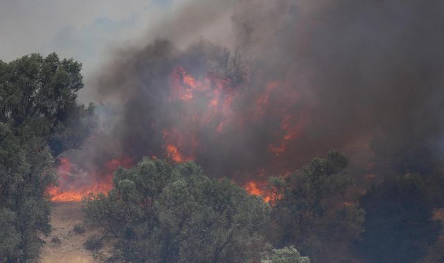 Seferihisar Belediye Başkanından