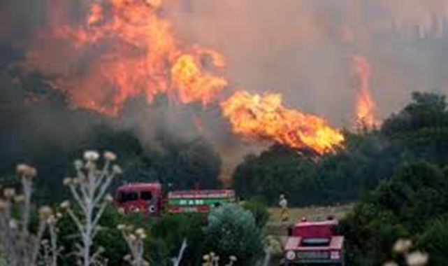 İzmir Buca'da Orman Yangını