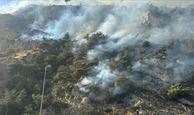 Aydı Söke'de Orman Yangını