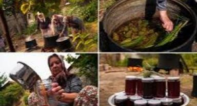 Kozak Yaylası'nın Şifalı Hazinesi