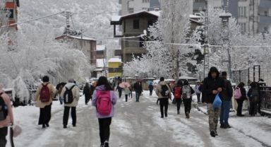 Bitlis Merkez ve Güroymak İlçesi'nde Kar Tatili