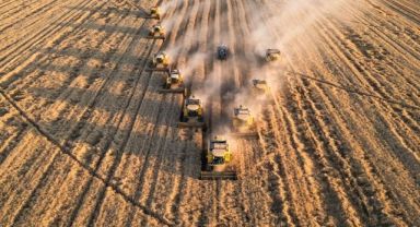 Tarım ÜFE Aralık 2025'te Arttı