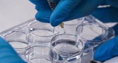 İzmir'den Tıp Dünyasına Devrim Niteliğinde Buluş