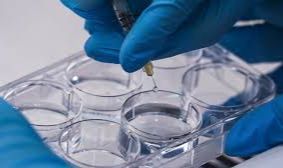 İzmir'den Tıp Dünyasına Devrim Niteliğinde Buluş