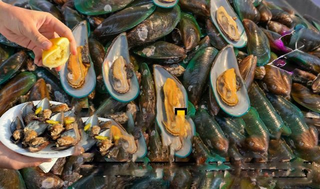 İzmir Körfezi'nde Toplanan Midyelerde Hepatit Virüsü Çıktı