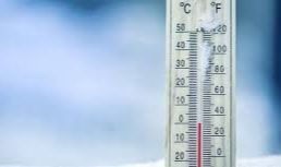 Mart Kapıdan Baktıracak