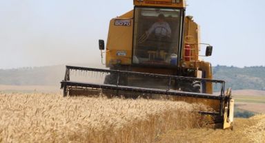 Çiftçilere 350,9 Milyon Liralık Destek