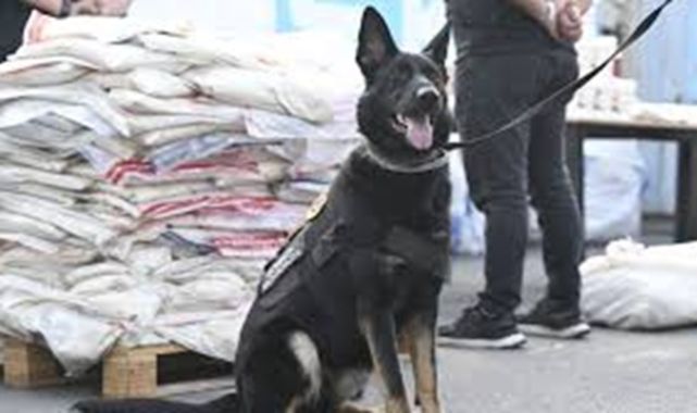 Gümrük Muhafaza Ekiplerinden Uyuşturucu Operasyonu