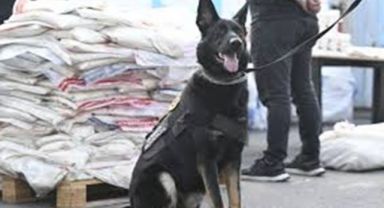 Gümrük Muhafaza Ekiplerinden Uyuşturucu Operasyonu