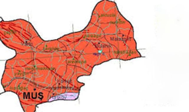 Muş'ta 4,1 Şiddetinde Deprem