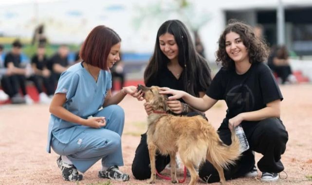 Patili Dostlara Yuva Aranıyor